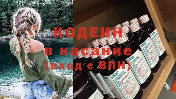 ПСИЛОЦИБИНОВЫЕ ГРИБЫ Кодинск