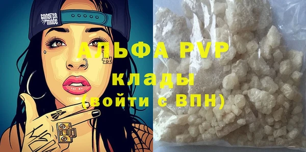 стаф Касимов