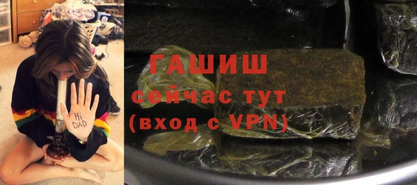 стаф Касимов