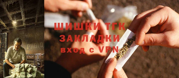 стаф Касимов